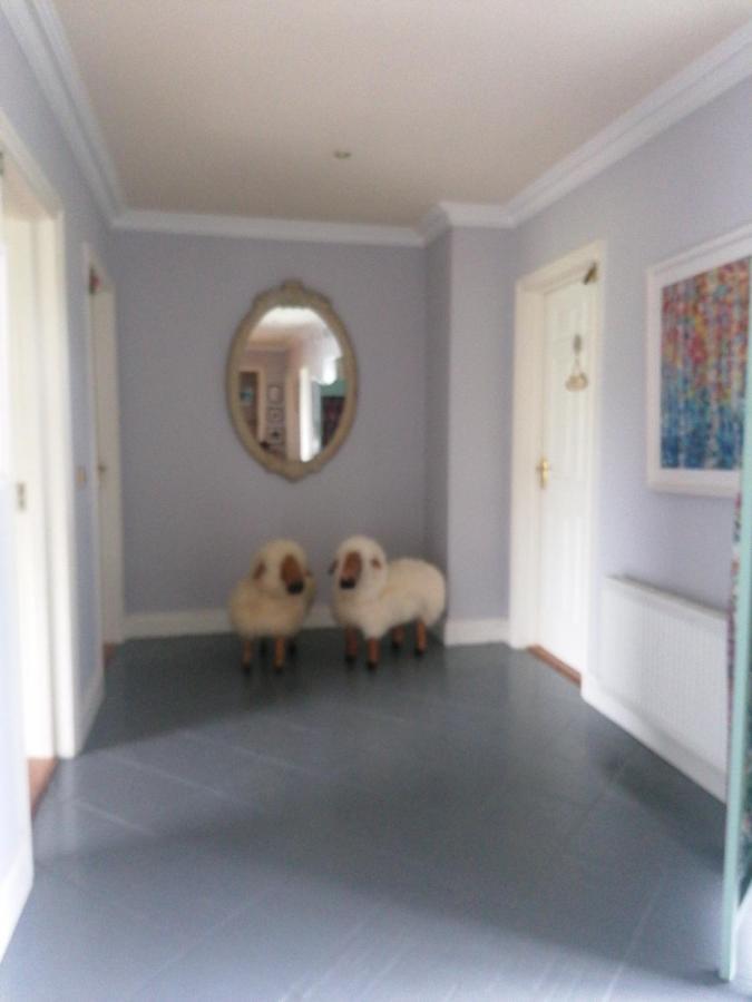 Fiuise B&B Dingle Exterior foto