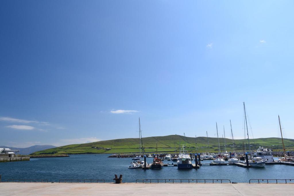 Fiuise B&B Dingle Exterior foto