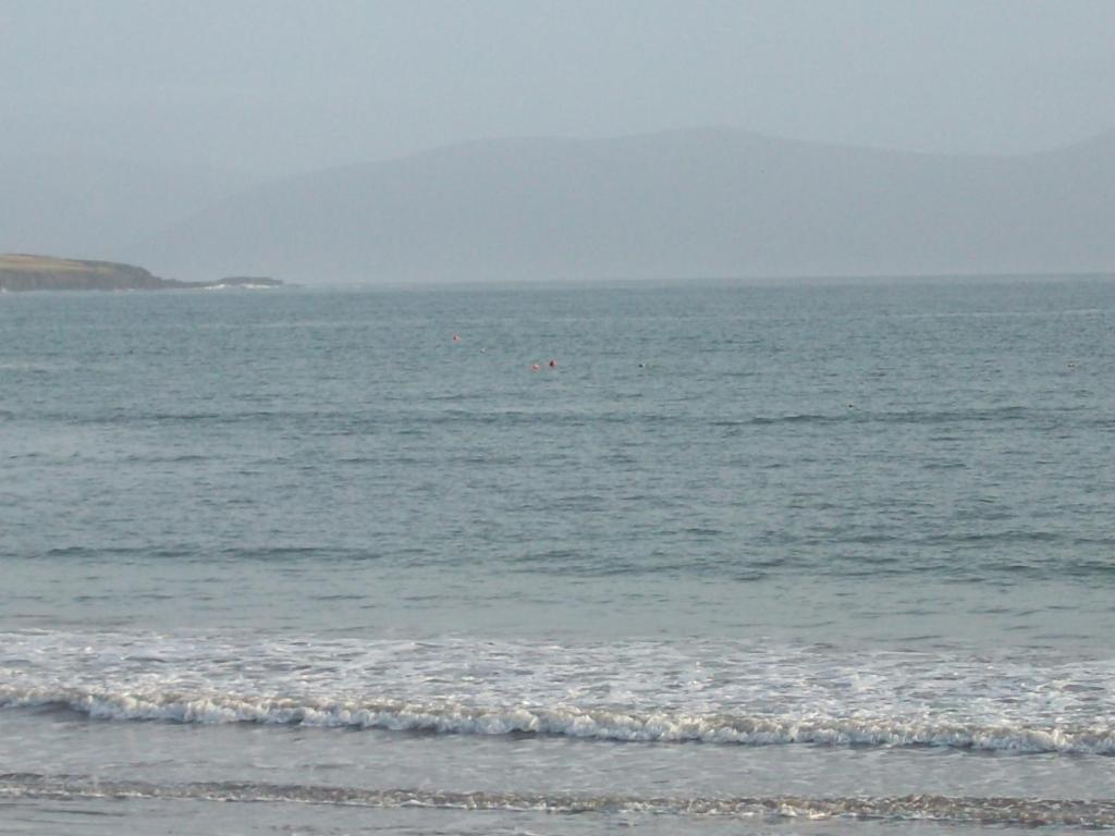 Fiuise B&B Dingle Exterior foto